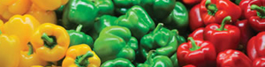 capsicums-yellow-red-green_pics_tandfallstates