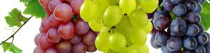 grapes-red-white-black