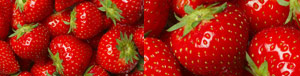 strawberry_pics_tandfallstates