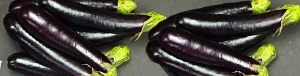 thai-baby-eggplant_pics_tandfallstates