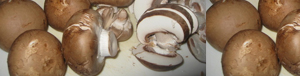 chestnut-mushrooms_pics_tandfallstates