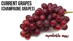 current-grapes-available-now.jpg