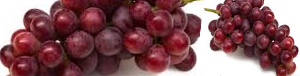 red-globe-grapes_pics_tandfallstates