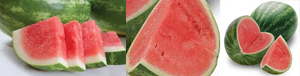 seedless-watermelon_pics_tandfallstates