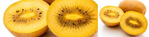 gold-kiwi-fruit_pics_tandfallstates