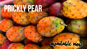 prickly-pear--available-now