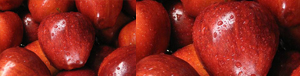 reddelicious-apples_pics_tandfallstates