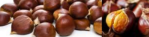 chestnuts_pics_tandfallstates