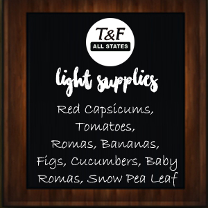 light supplies_tandfallstates 29.08.16 copy
