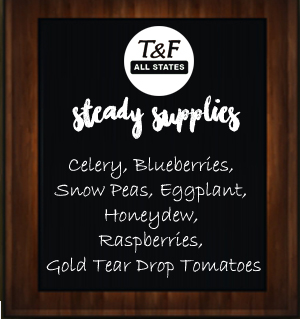 steady supplies_tandfallstates29.08.16