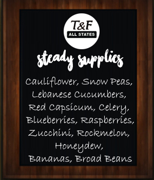 steady supplies_tandfallstates30.08.16