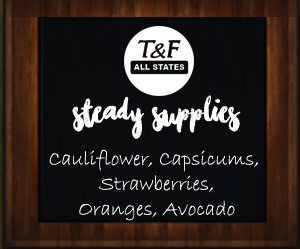 steady-supplies_tandfallstates28-11-16