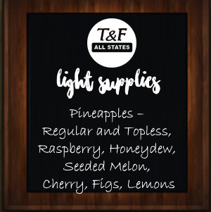 light-supplies_tandfallstates-19-1216