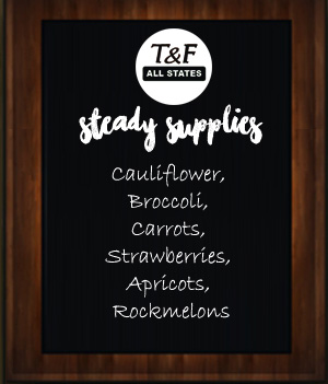 steady-supplies_tandfallstates19-12-16