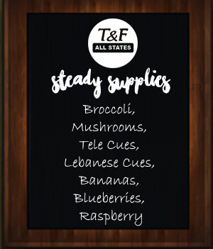 steady-supplies_tandfallstates06-02-17