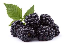 BLACKBERRIES FOR THOUGHT
