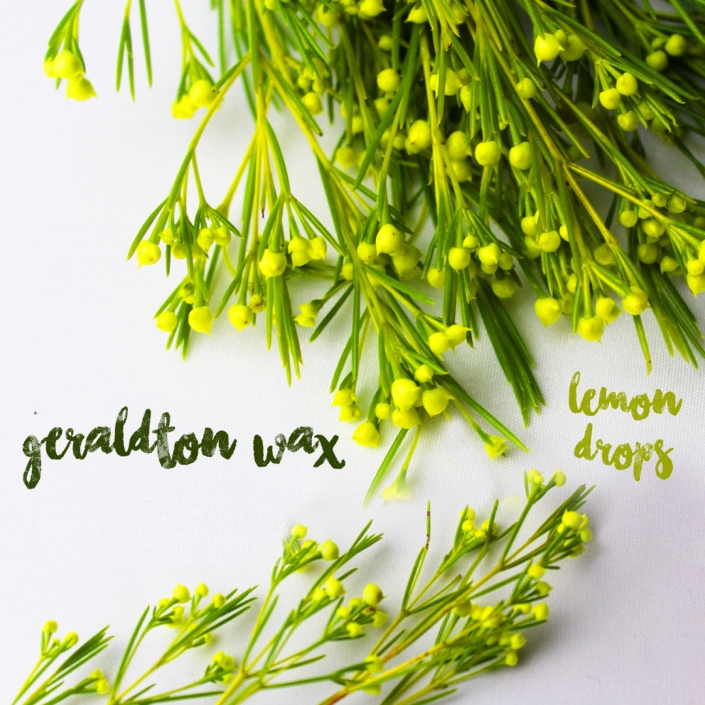 geraldon-wax-lemon-drops.jpg