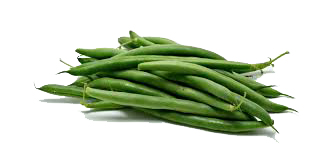 GREEN BEANS FOR THOUGHT