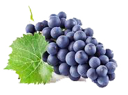 CURRANT GRAPES FOR THOUGHT.jpg