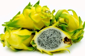 YELLOW DRAGONFRUIT FOR THOUGHT.jpg