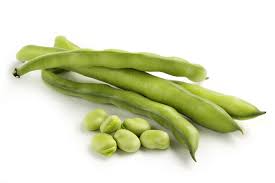 BROADBEANS FOR THOUGHT