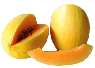 YELLOW CANDY MELON FOR THOUGHT.jpg