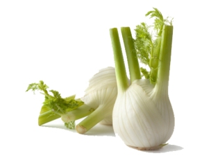 fennel food for thought copy.jpg